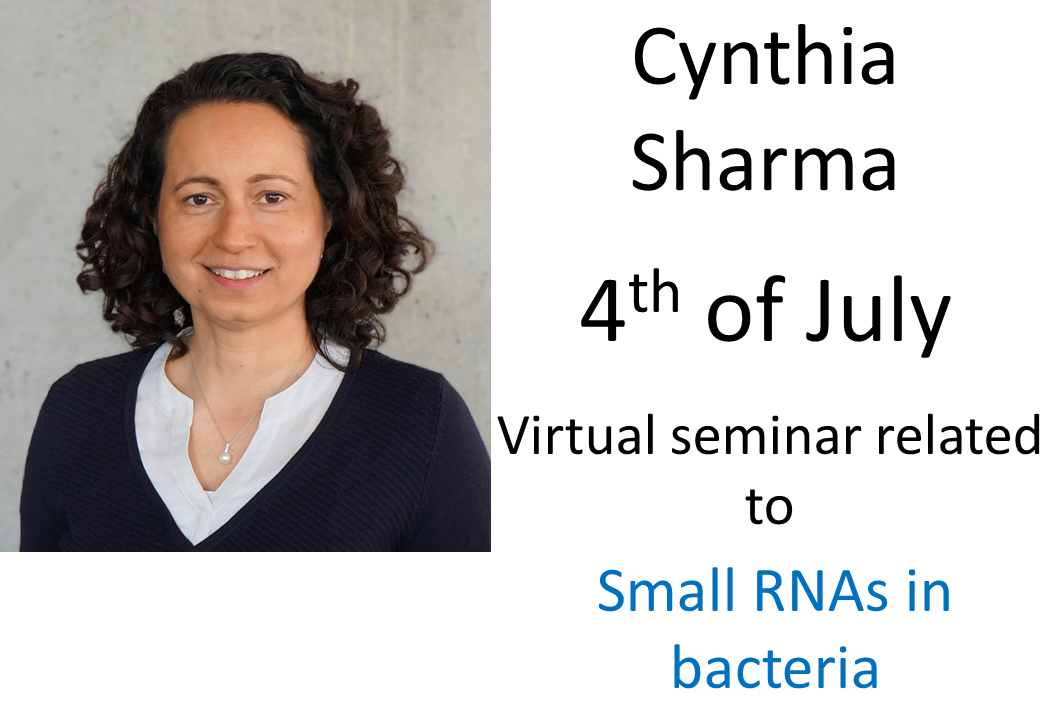 Seminar Cynthia Sharma, 4th of July 2022
