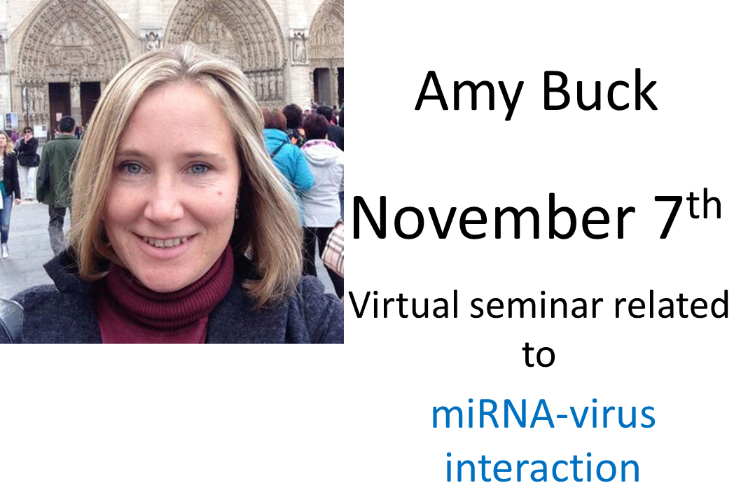 Past Seminar Amy Buck, 7th of November 2022