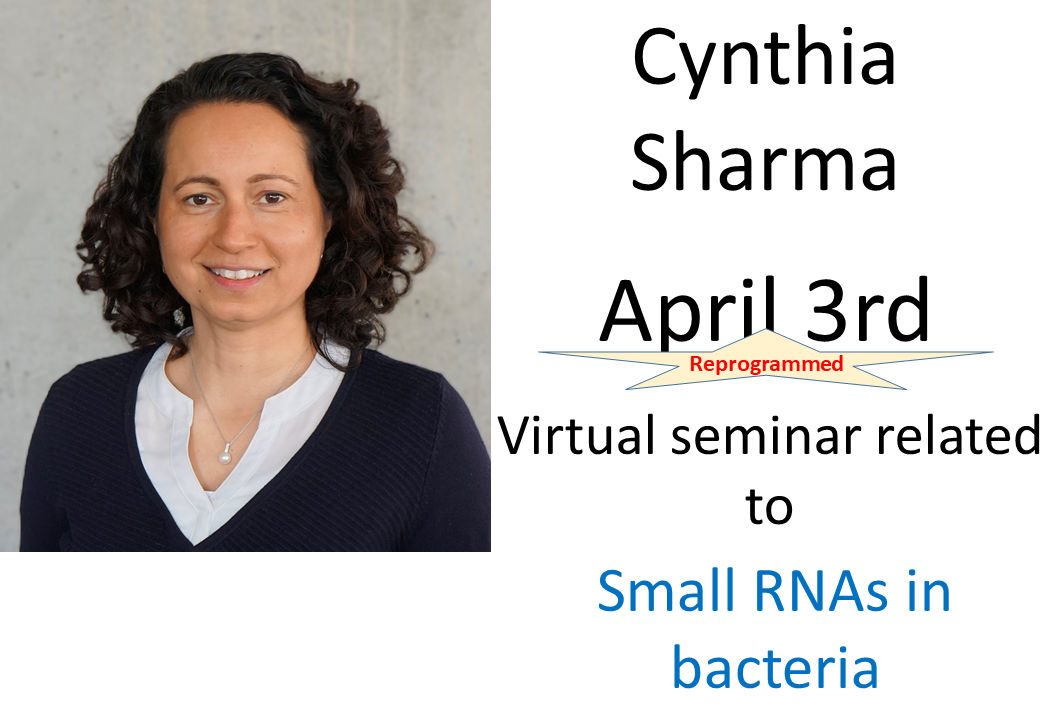 Seminar Cynthia Sharma, 3rd of April 23-copy