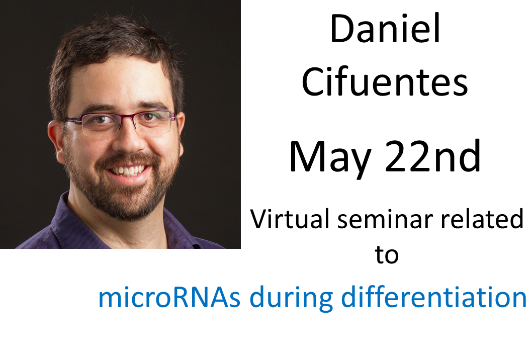 Seminar Daniel Cifuentes, 22nd of May 2023